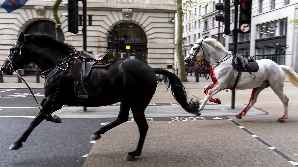 alert-–-live:-horses-covered-in-blood-rampage-through-central-london-with-one-soldier-left-injured