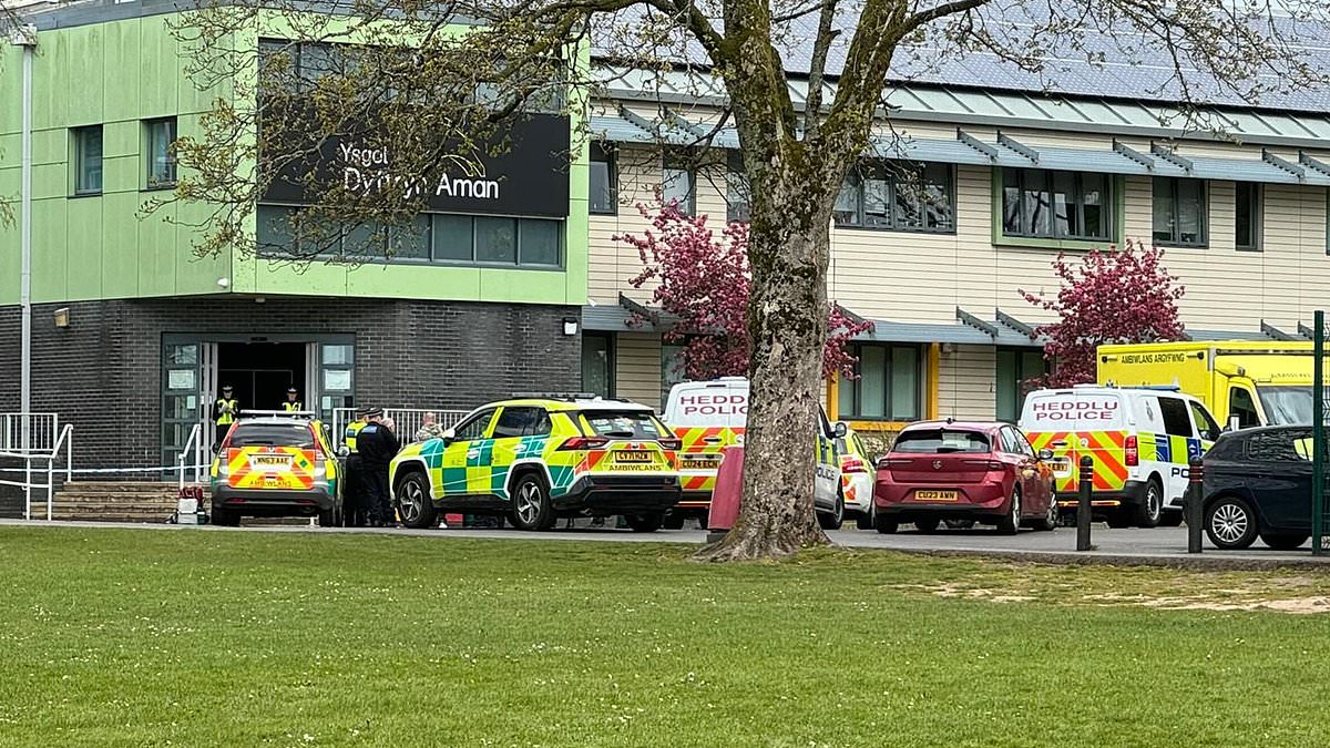 alert-–-ammanford-school-‘stabbing’:-‘schoolgirl’-is-arrested-after-three-people-‘including-female-teacher’-are-‘stabbed’-in-secondary-school-attack-as-police-swoop-in-and-terrified-children-jump-over-fences-to-escape-horror-scene