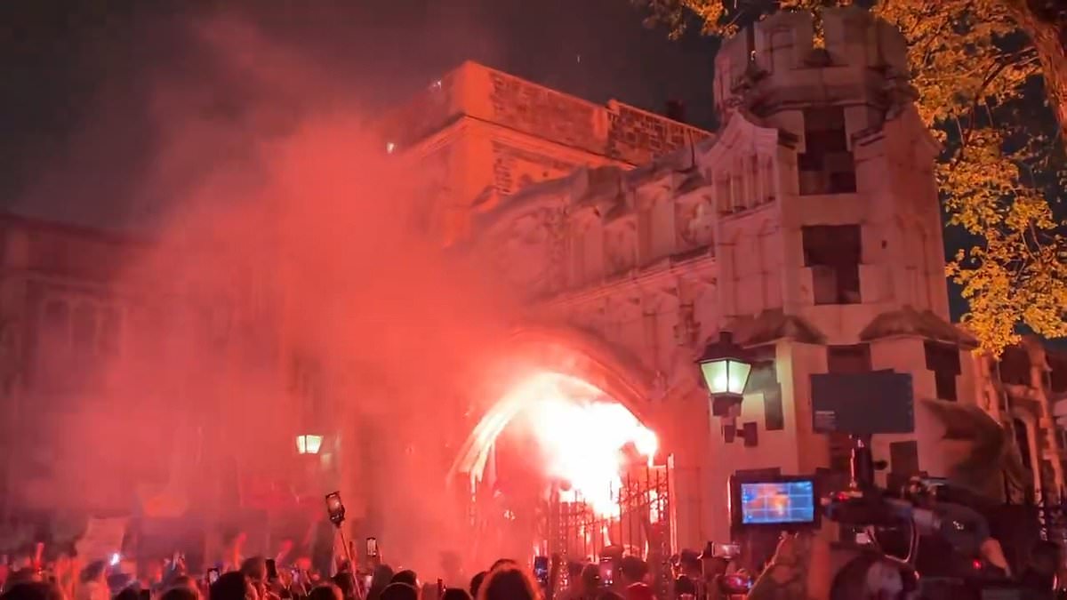 alert-–-manhattan-turns-into-a-tinderbox-as-hundreds-of-furious-students-face-off-with-cops-outside-city-college-with-flares-hurled-at-police-and-pro-palestine-protesters-tear-gassed