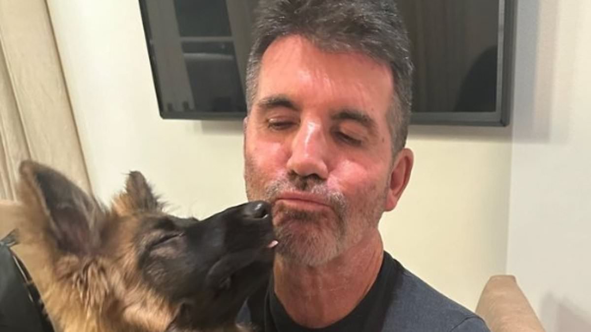 alert-–-simon-cowell-hires britain’s-got-talent-star-to-help-tame-wild-pet-german-shepherd:-‘she’s-a-little-bit-naughty’