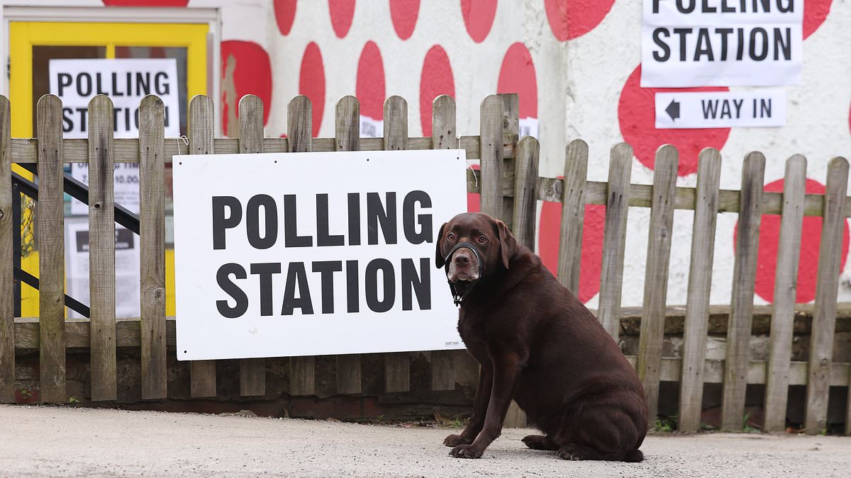 alert-–-it’s-dogs-at-polling-stations-day-to-those-who-celebrate!-pet-lovers-take-their-pooches-with-them-to-cast-their-votes-as-polls-open-for-local-elections-across-the-uk