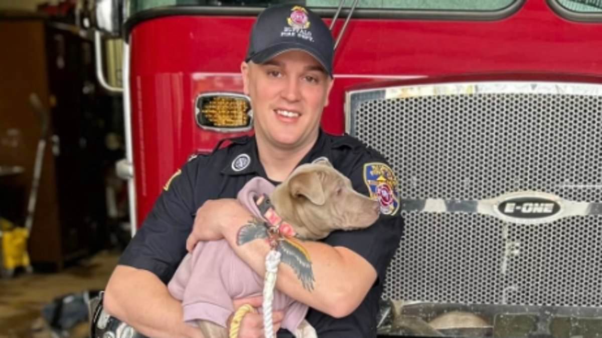 alert-–-new-york-firefighter-adopts-three-legged-puppy-he-helped-save-after-it-was-hit-by-a-car