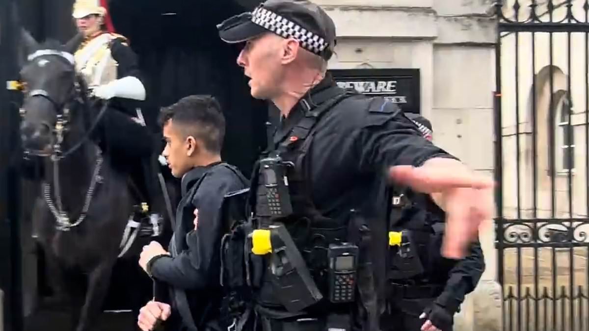 alert-–-moment-armed-police-arrest-tiktoker-poking-his-microphone-under-nose-of-king’s-guard-horse-and-its-rider-–-and-he’d-previously-been-held-outside-downing-street-too