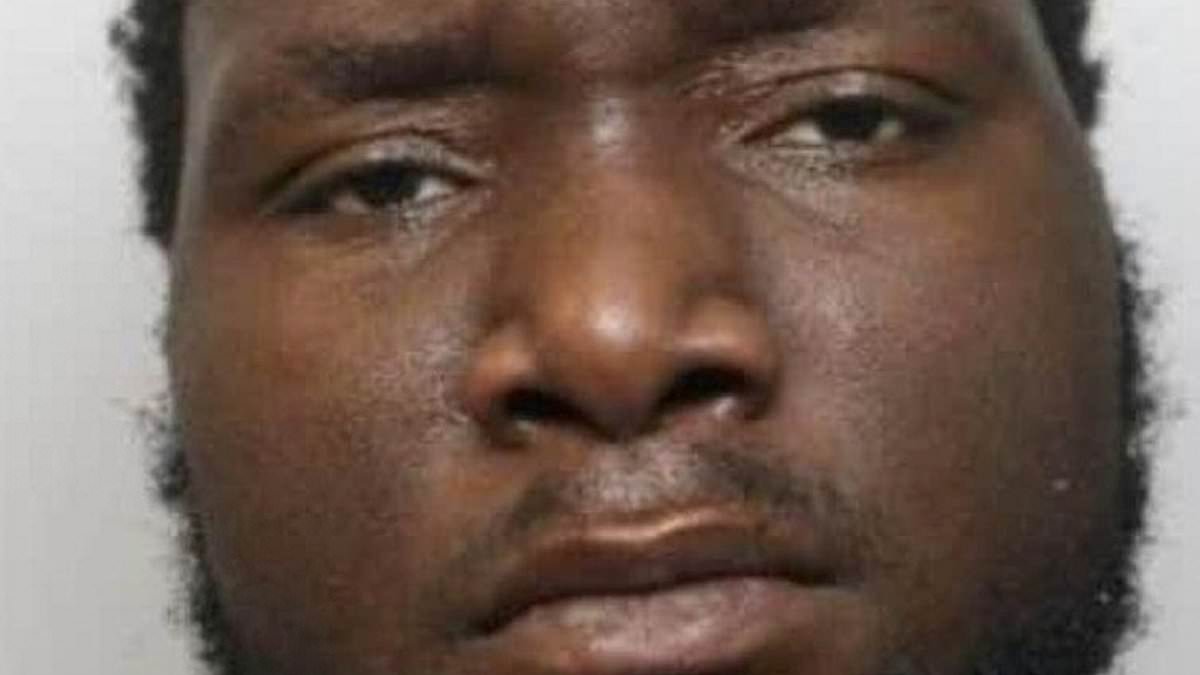 alert-–-zimbabwean-asylum-seeker,-34,-is-jailed-for-possession-of-a-hammer-after-racking-up-more-than-60-convictions-for-drugs,-robbery-and-assault