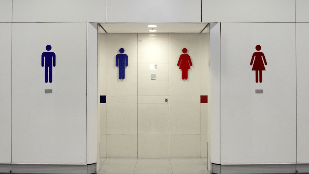 alert-–-separate-toilets-for-men-and-women-must-be-built-in-new-restaurants,-shopping-centres-and-offices-under-new-building-rules