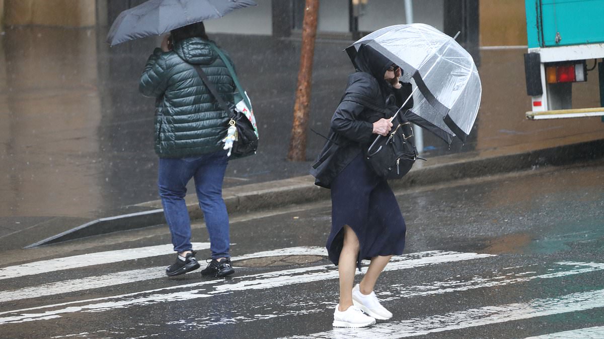 alert-–-wet-weather-to-hit-sydney-for-another-10-days-after-weekend-of-wild-conditions