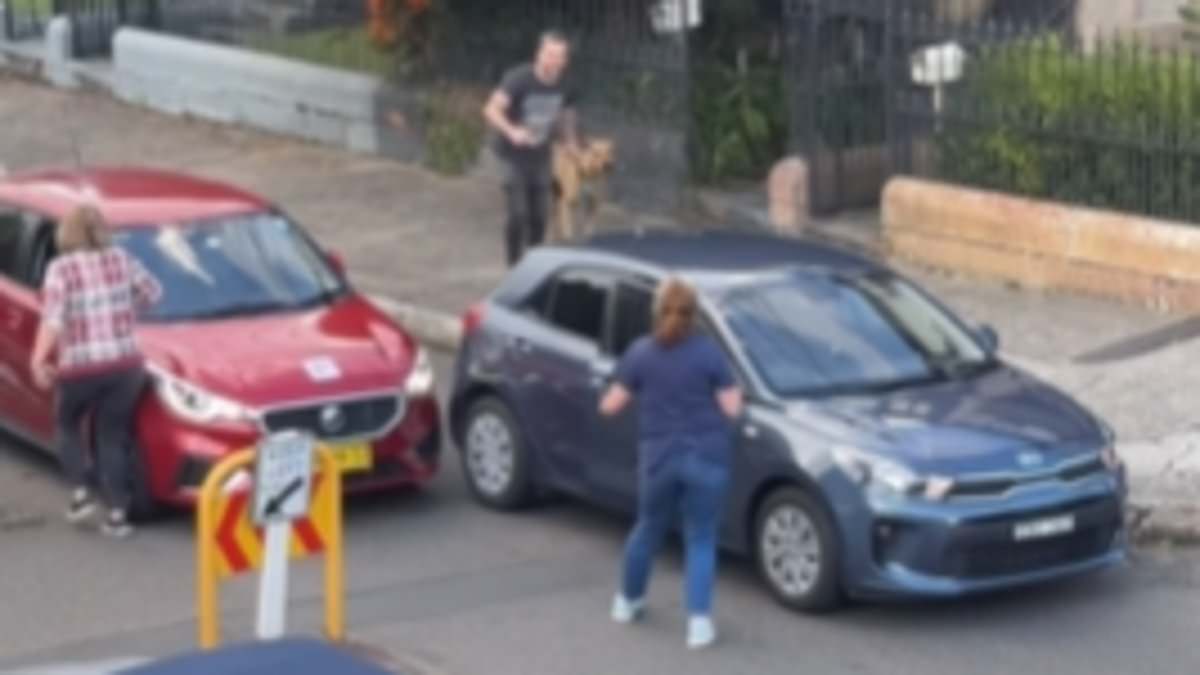 alert-–-aussies-divided-over-fiery-moment-dog-walker-berates-two-drivers-for-holding-up-traffic-over-a-minor-prang-on-busy-street