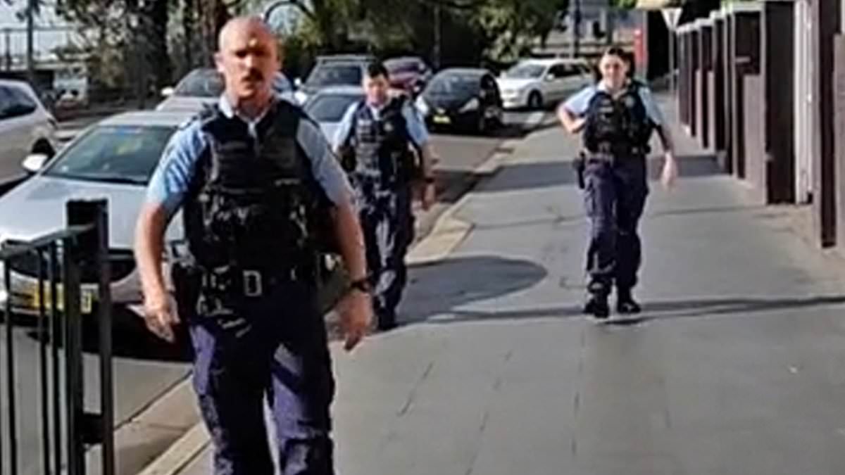 alert-–-three-police-officers-are-called-out-for-confronting-a-man-who-was-jaywalking:-‘australian-police-have-nothing-better-to-do’