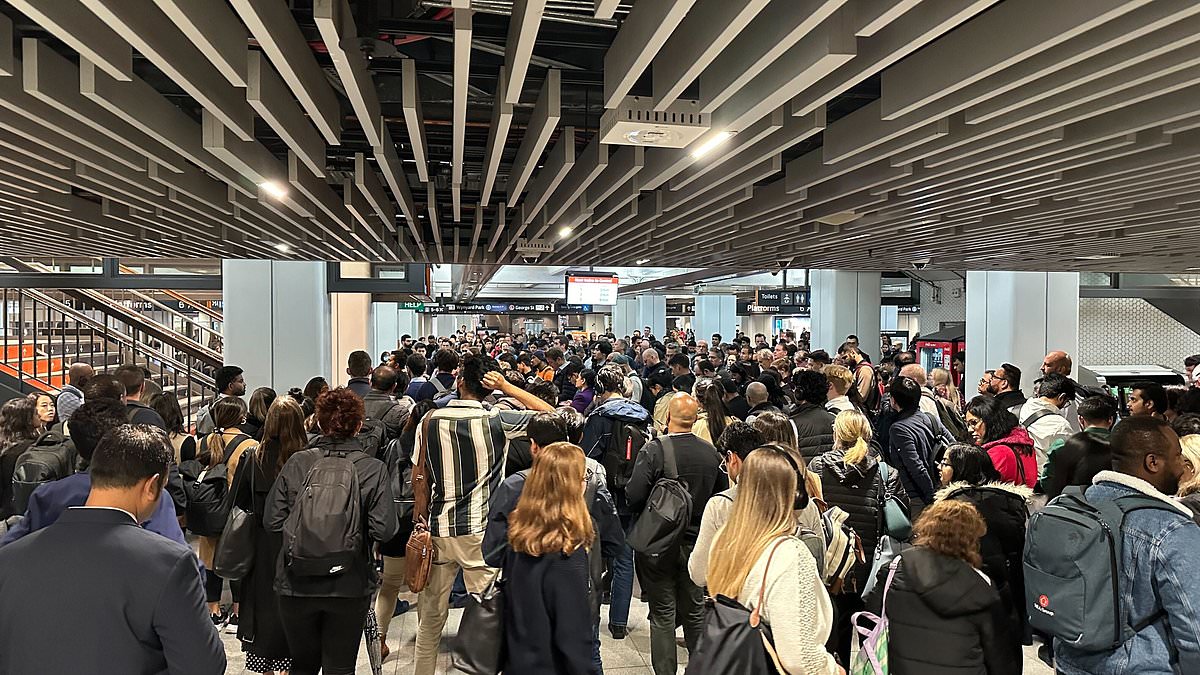 alert-–-sydney-trains:-commuter-chaos-as-network-plunges-into-mayhem-during-peak-hour-after-person-ended-up-on-the-tracks