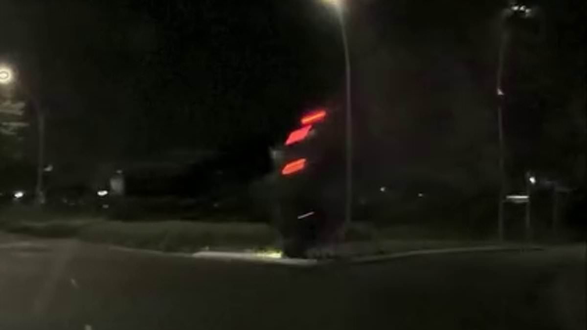 alert-–-hamilton,-new-zealand-crash:-wild-moment-learner-driver-flies-through-the-air-and-smashes-car-into-a-roundabout-injuring-a-child-in-the-backseat