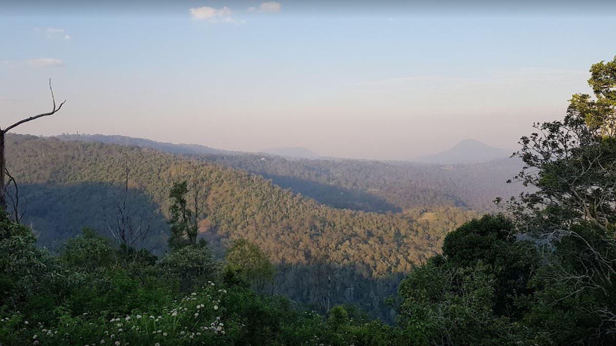 alert-–-middle-ridge,-toowoomba:-human-bones-found-by-member-of-the-public-in-popular-walking-area