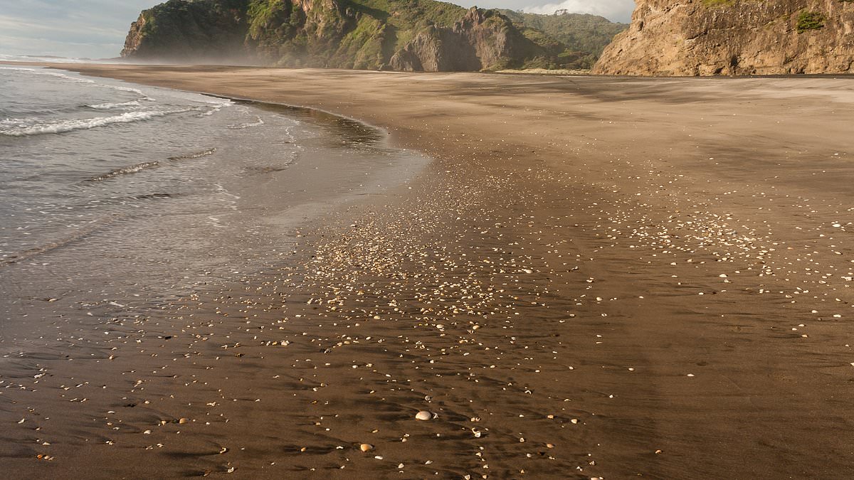 alert-–-be-careful-what-you-take-home-from-the-beach-this-summer!-council-threatens-to-impose-1,000-fine-on-anyone-who-removes-pebbles-and-seashells-from-cumbria’s-shores-in-bid-to-‘protect-the-environment’