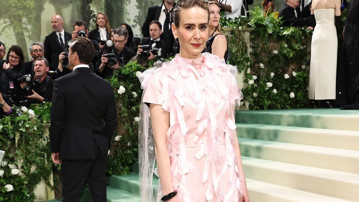 alert-–-sarah-paulson-steps-out-with-a-pretty-in-pink-look-at-the-2024-met-gala-while-posing-alongside-amanda-seyfried,-harris-dickinson-and-damson-idris