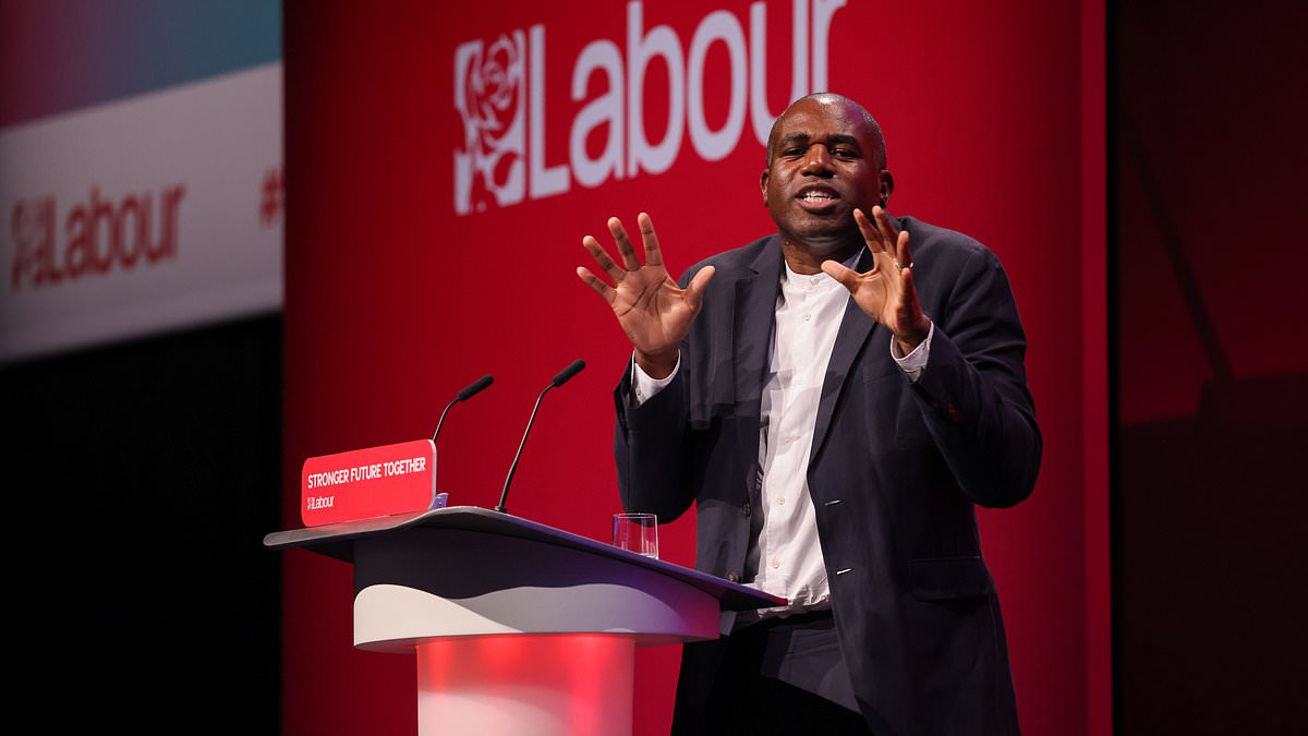 alert-–-labour’s-flip-flopping-lammy-says-he’ll-now-work-with-trump…-despite-previously-calling-him-a-‘woman-hating,-neo-nazi-sympathising-sociopath’