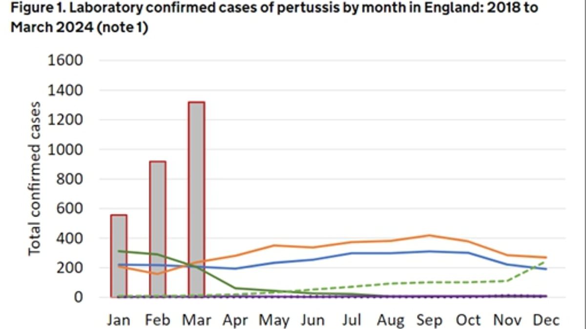 alert-–-five-newborn-babies-die-in-spiralling-whooping-cough-outbreak:-cases-of-‘100-day-cough’-in-2024-are-already-three-times-higher-than-whole-of-last-year,-as-post-covid-vaccine-scepticism-is-blamed