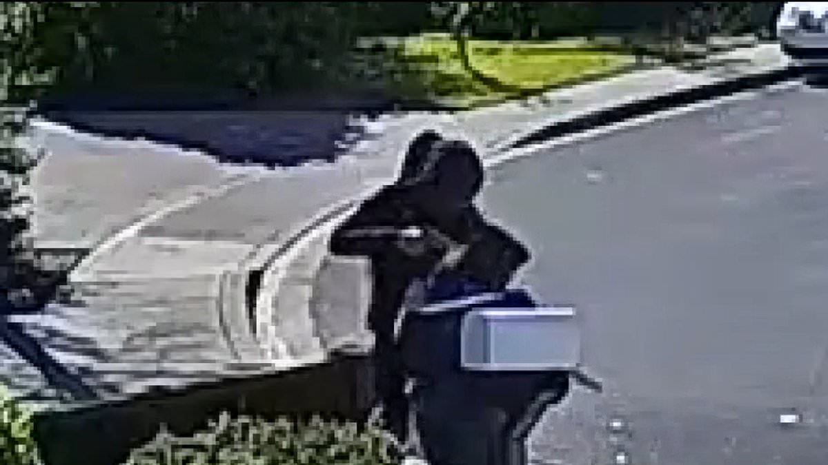 alert-–-moment-two-men-rob-a-mail-carrier-in-broad-daylight-and-point-a-gun-to-her-head-all-to-get-her-phone-and-keys-to-mailboxes:-‘i-thought-he-was-going-to-shoot-me-when-he-was-done’