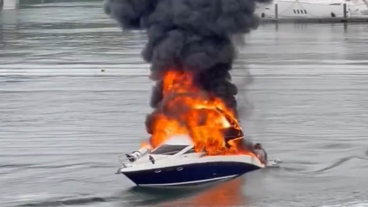 alert-–-sydney-harbour-boat-fire:-massive-boat-fire-breaks-out-aboard-vessel-as-large-plume-of-black-smoke-rises-above-the-water