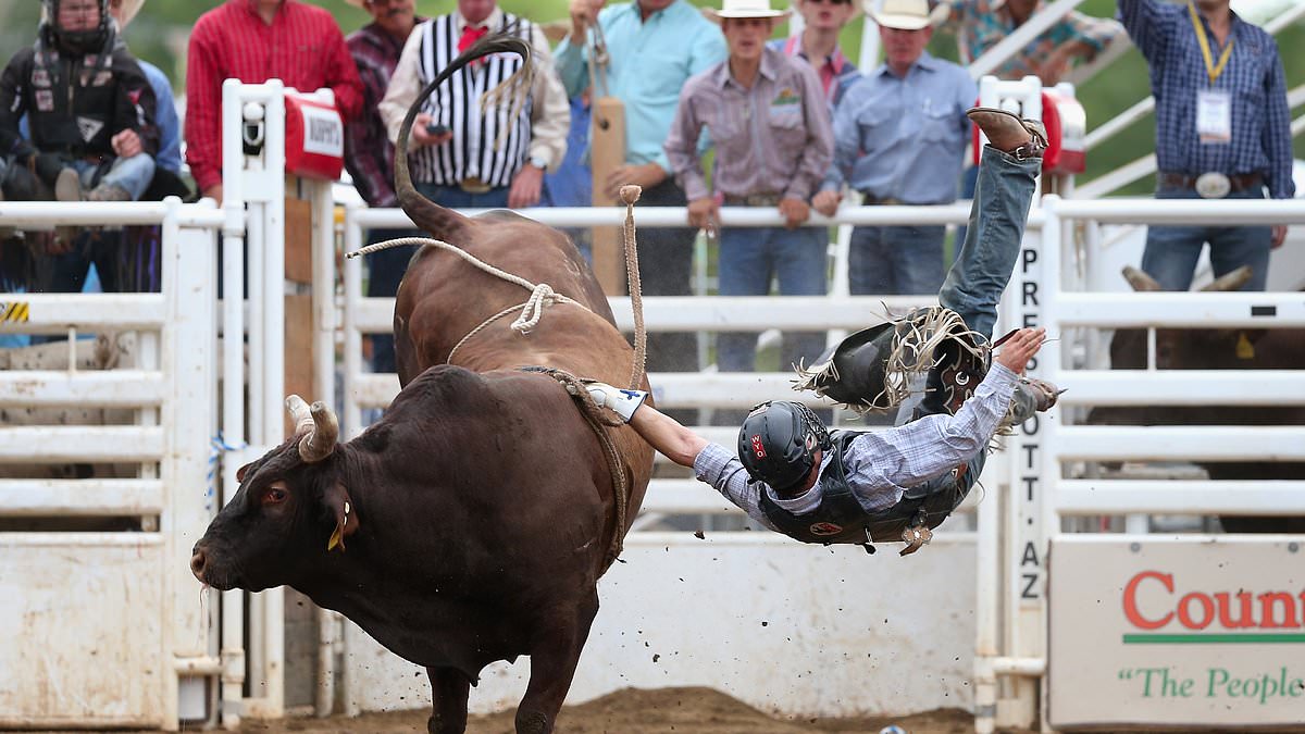 alert-–-america’s-oldest-cowboy:-incredible-comeback-story-of-clayton-savage,-back-on-the-bull-after-60-injuries to-provide-for-his-family