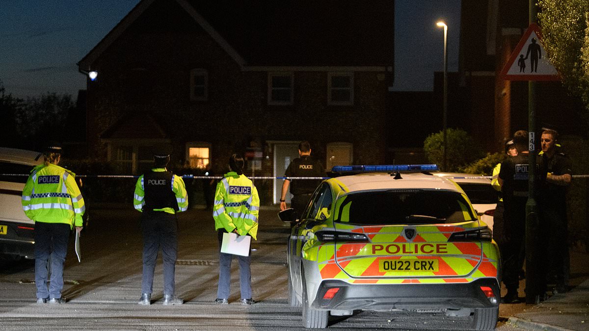 alert-–-armed-police-shoot-crossbow-attacker-in-high-wycombe-after-one-officer-is-shot-in-the-leg-and-a-man-in-his-sixties-was-stabbed-in-quiet-neighbourhood