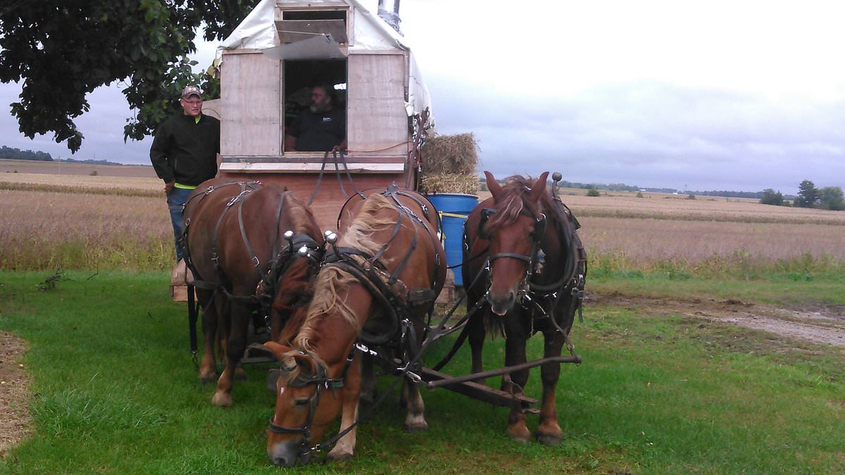 alert-–-montana-man,-63,-who-has-no-family-spends-his-life-traveling-back-and-forth-across-us-on-horse-drawn-carriage-at-3mph-and-has-just-started-his-fifth-trip