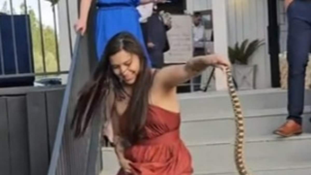 alert-–-moment-arizona-wedding-guest-has-to-carry-snake-out-of-ceremony