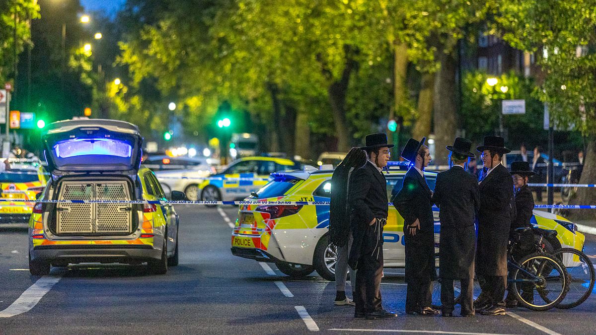 alert-–-armed-officers-swarm-north-london-neighbourhood-stamford-hill-after-woman-in-her-30s-is-shot-in-the-leg