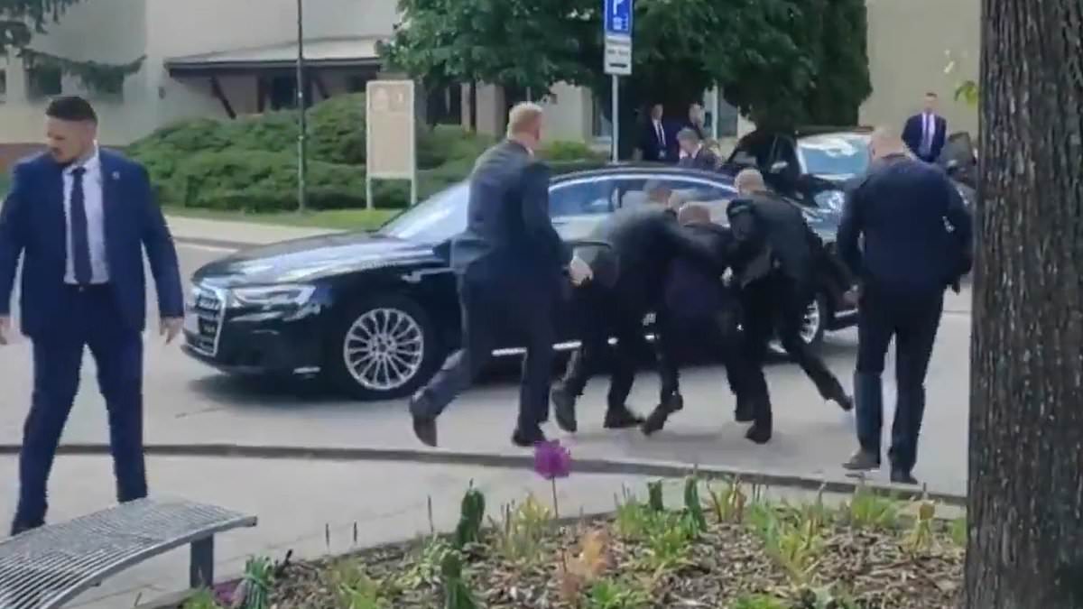 alert-–-slovakian-pm-fights-for-life-after-’71-year-old-assassin’-shoots-him-in-the-stomach-and-arm-before-being-bundled-to-the-ground-while-trying-to-flee