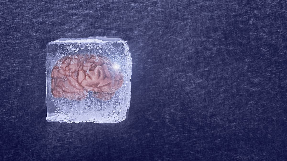 alert-–-chinese-scientists-move-closer-to-bringing-cryogenically-frozen-humans-back-to-life-–-after-brain-tissue-is-thawed-without-damage