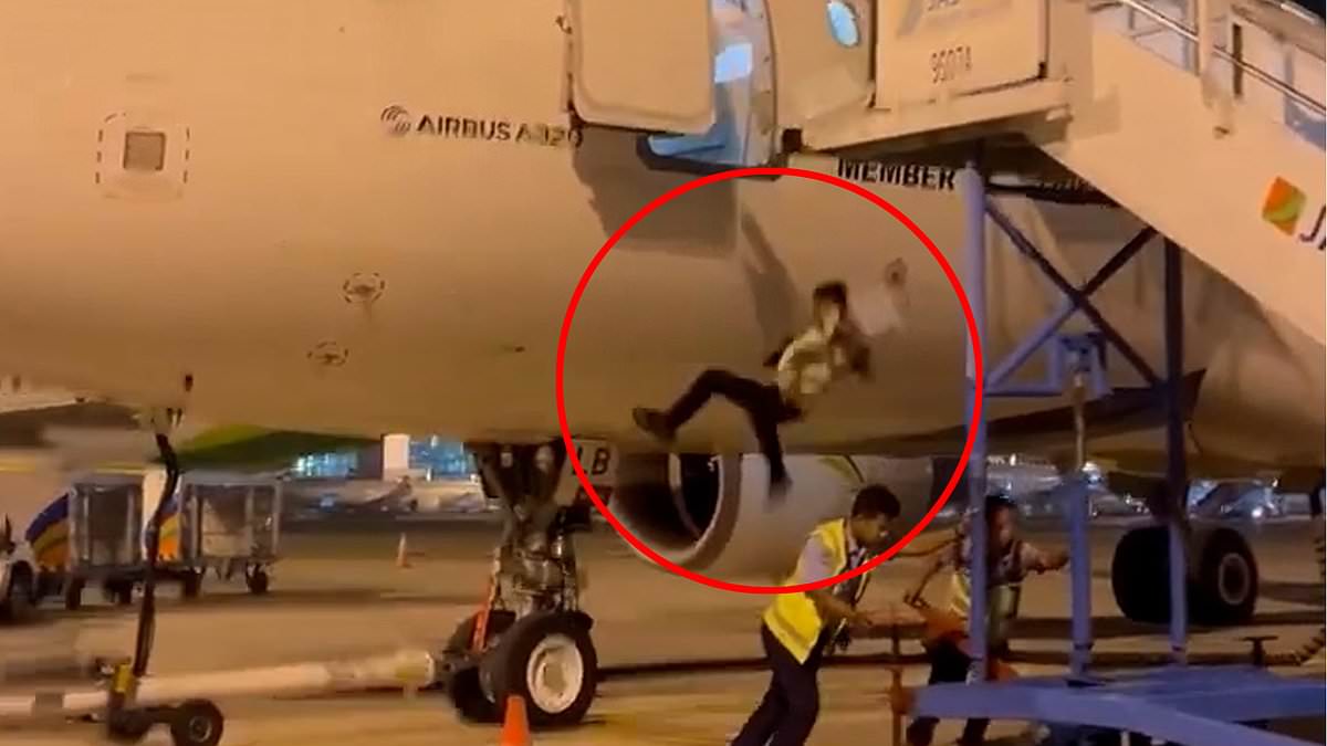 alert-–-look-before-you-leap!-airline-worker-falls-onto-the-runway-after-stepping-out-of-a-plane-without-realising-the-runway-steps-have-been-moved-away