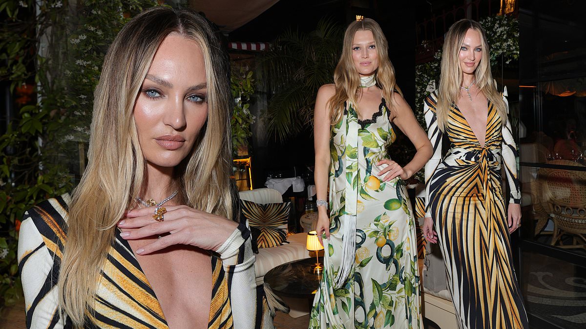 alert-–-candice-swanepoel-shows-off-her-cleavage-in-a-plunging-silk-evening-dress-as-she-joins-glamorous-toni-garrn-at-roberto-cavalli’s-celebratory-dinner-in-cannes