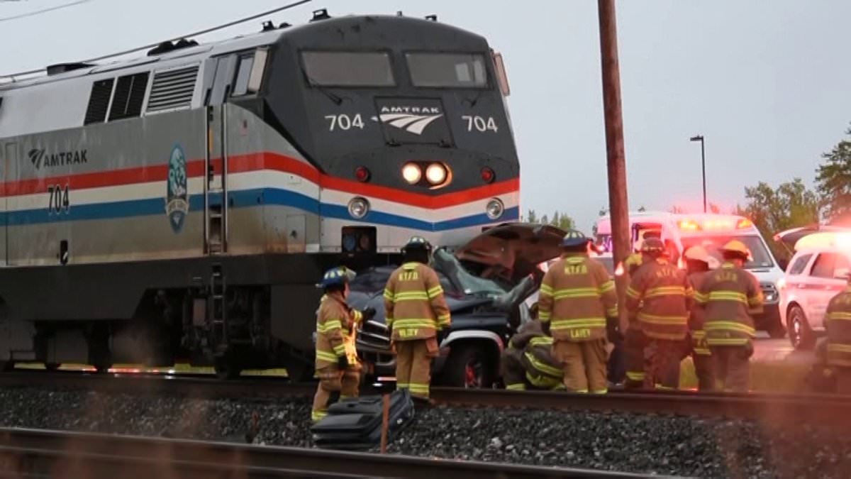 alert-–-grandparents-and-six-year-old-boy-killed-in-amtrak-horror-crash-after-their-suv-got-stuck-in-between-crossing-barriers-in-path-of-high-speed-passenger-train-bound-for-niagara-falls