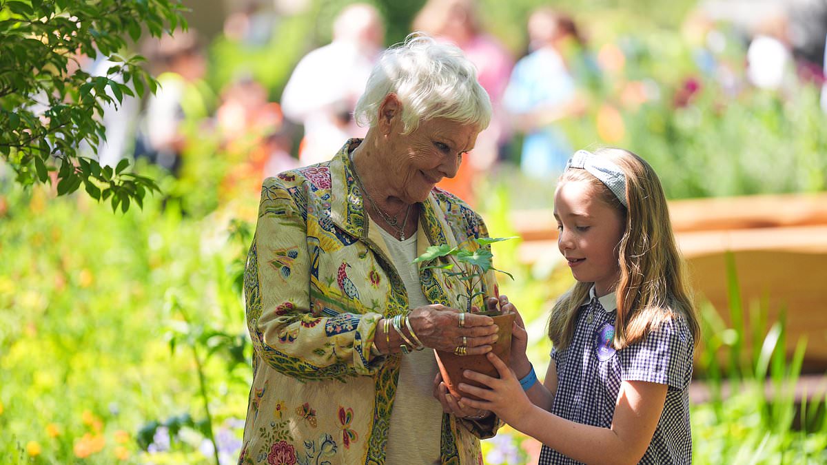 alert-–-dame-judi-dench’s-tears-as-she-receives-sycamore-gap-tree-seedling-at-chelsea-flower-show-–-with-actress-giving-it-a-very-fitting-name