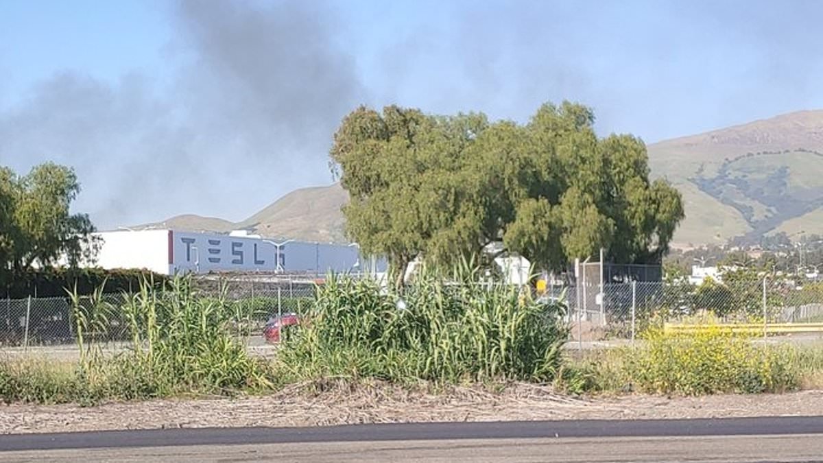 alert-–-tesla-factory-fire:-smoke-seen-rising-from-elon-musk’s-fremont-plant