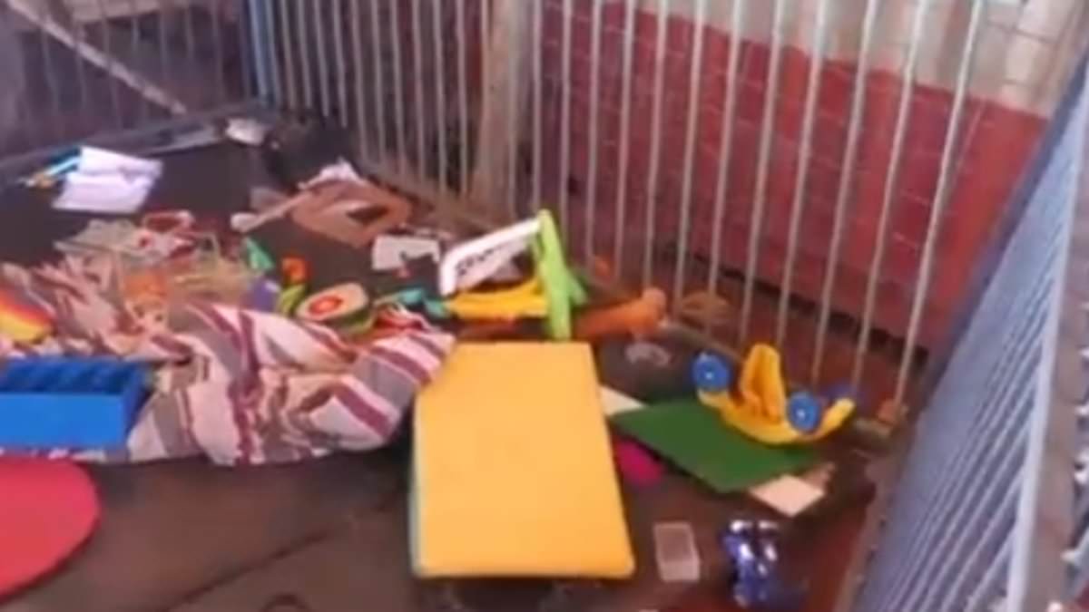 alert-–-new-details-emerge-after-child-services-were-called-to-northern-territory-worksite-following-disturbing-discovery-inside-a-cage