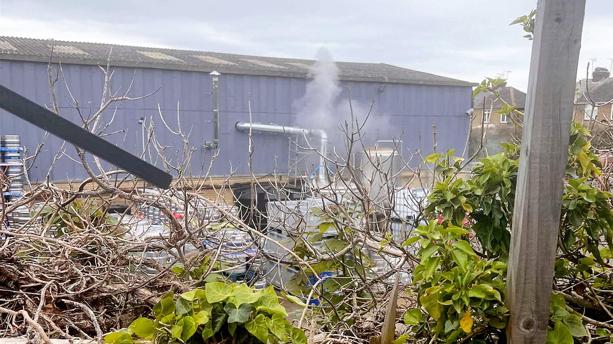 alert-–-smell-from-nearby-brewery-was-so-bad-it-almost-wrecked-my-marriage:-neighbours-reveal-hell-of-living-next-to-stinking-bottling-plant-and-say-they’ve-not-been-able-to-sit-outside-for-three-summers