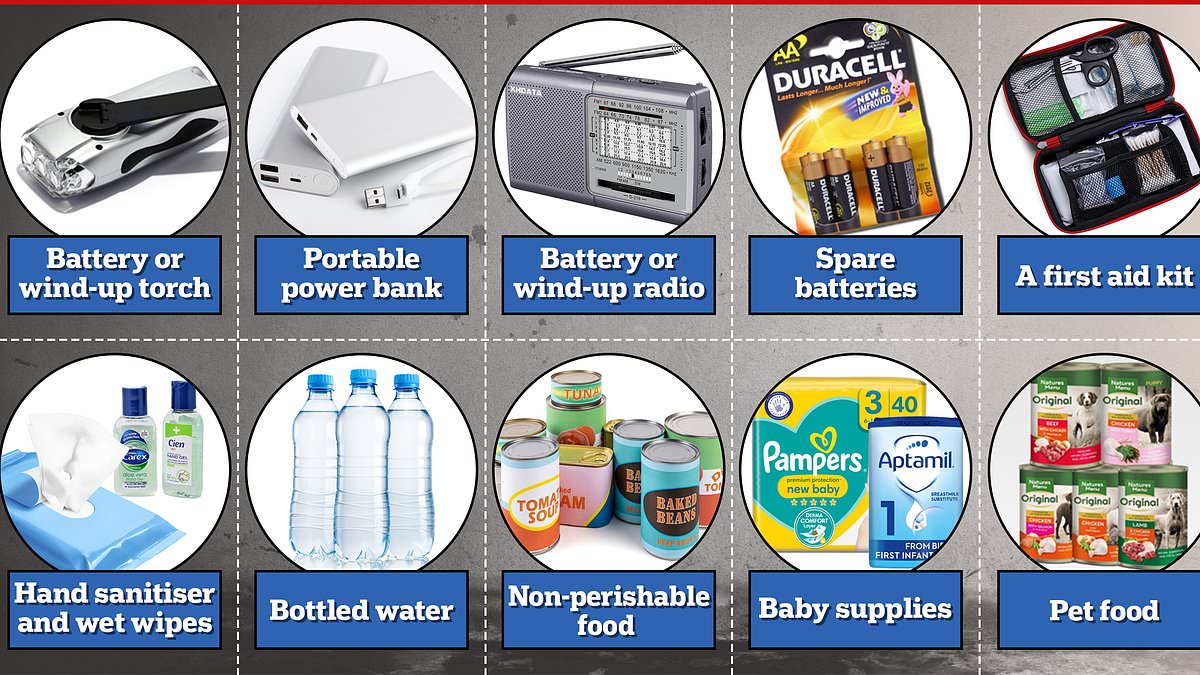 alert-–-supermarkets-urge-against-panic-buying-as-government-launches-‘preppers’-website-–-warning-families-to-start-a-national-crisis-’emergency-kit’-of-tinned-food,-batteries-and-bottled-water