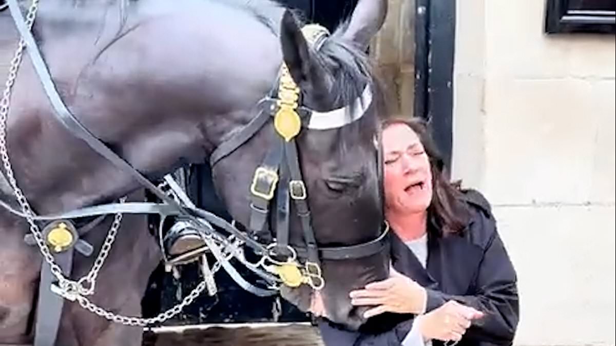 alert-–-shocking-moment-american-tourist-squeals-in-pain-as-king’s-guard-horse-bites-her-when-she-gets-too-close