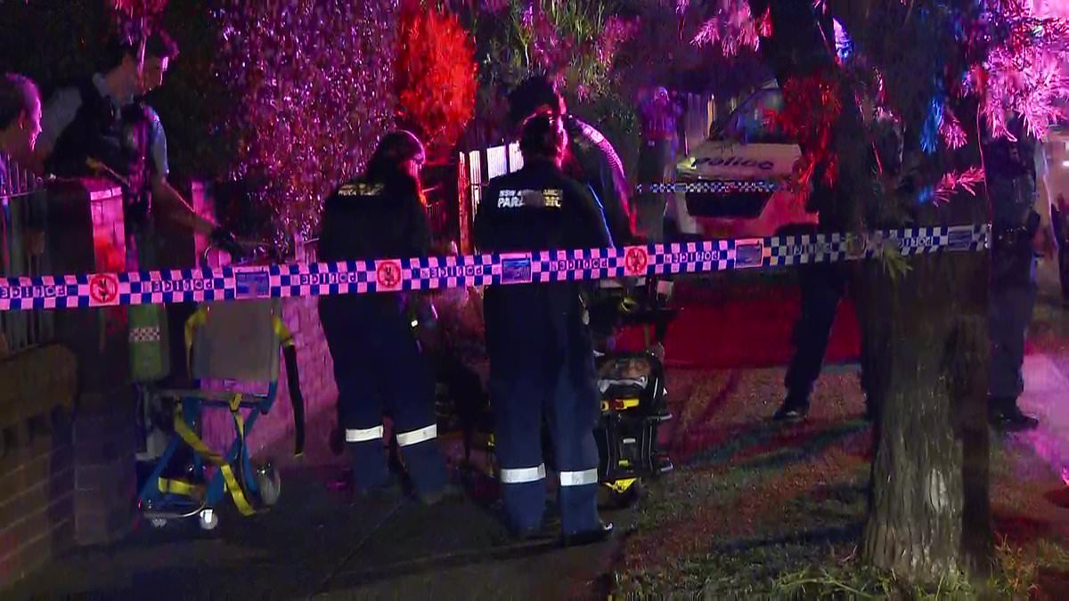 alert-–-marrickville-stabbing:-man-allegedly-stabs-brother-and-mother