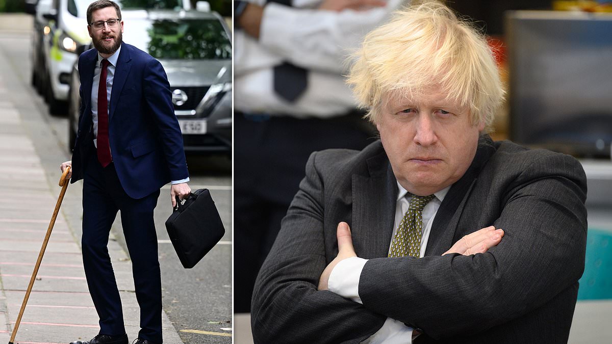 alert-–-britain’s-top-civil-servant-apologises-for-describing-boris-johnson-and-his-inner-circle-as-‘basically-feral’-in-covid-messages-and-admits-he-did-not-understand-how-‘difficult’-the-former-pm-found-the-pandemic