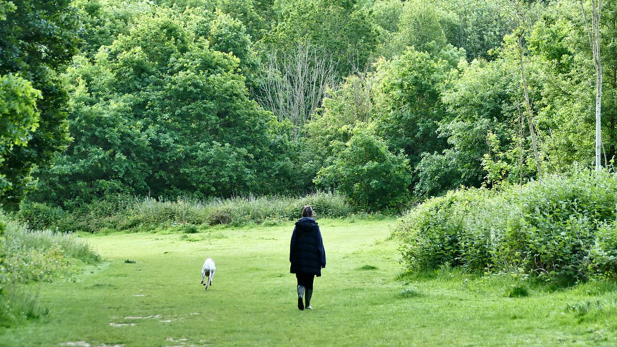 alert-–-after-britain’-storm-chaos,-promises-of-some-brighter-respite-this-weekend-–-but-the-met-office-warns-yet-more-rain-ahead-will-still-put-a-dampener-on-the-bank-holiday