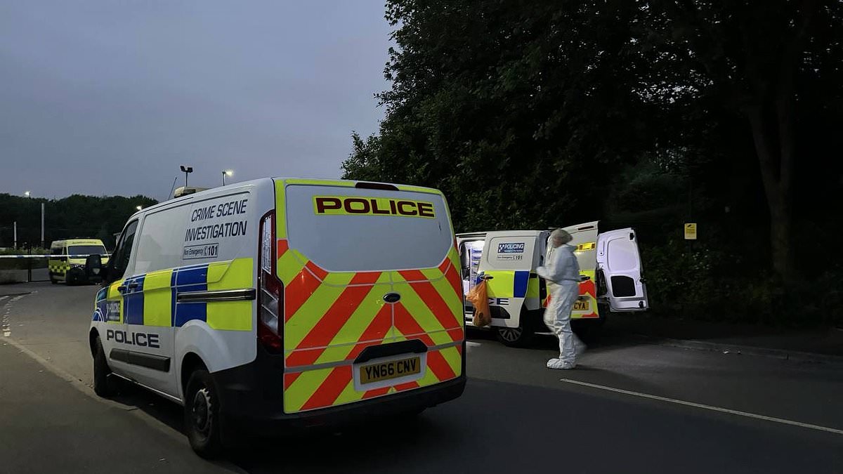 alert-–-sheffield’s-shameless-brawl:-22-in-hospital-and-25-arrested-following-huge-fight-in-broad-daylight-–-as-police-appeal-for-witnesses