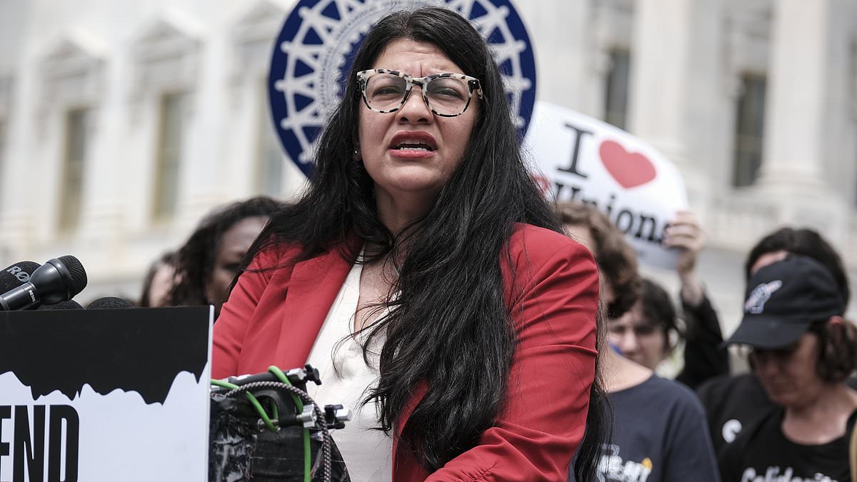 alert-–-squad-member-rashida-tlaib-urges-democrat-supporters-to-vote-against-‘war-criminal’-joe-biden-in-november-election-amid-fury-from-the-left-over-his-gaza-policy