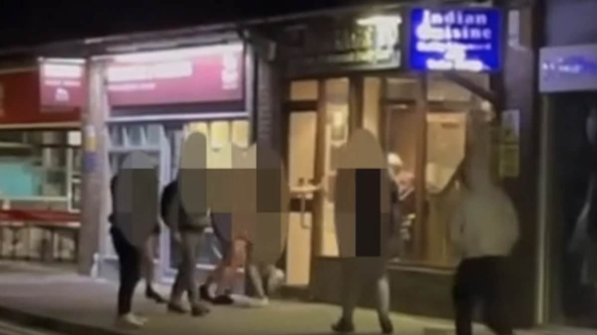 alert-–-the-village-held-hostage-by-feral-teenage-girls:-video-reveals-unprovoked-attack-on-restaurant-owner-by-gang-of-teenagers-in-latest-night-of-violence