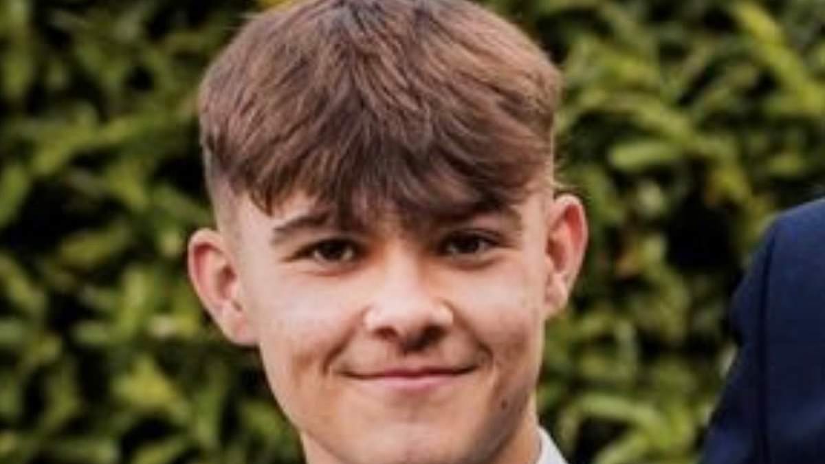 alert-–-party-goer-thought-teenager,-17,-stabbed-to-death-at-end-of-term-party-had-spilled-a-kopparberg-on-himself-‘because-his-t-shirt-was-covered-in-red’