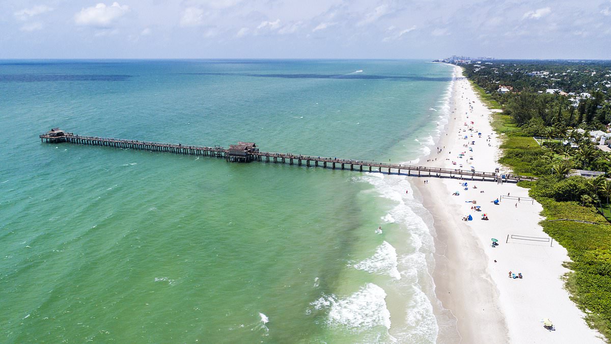 alert-–-florida-woman,-20,-caught-having-sex-on-historic-pier-jumps-into-ocean-to-evade-cops