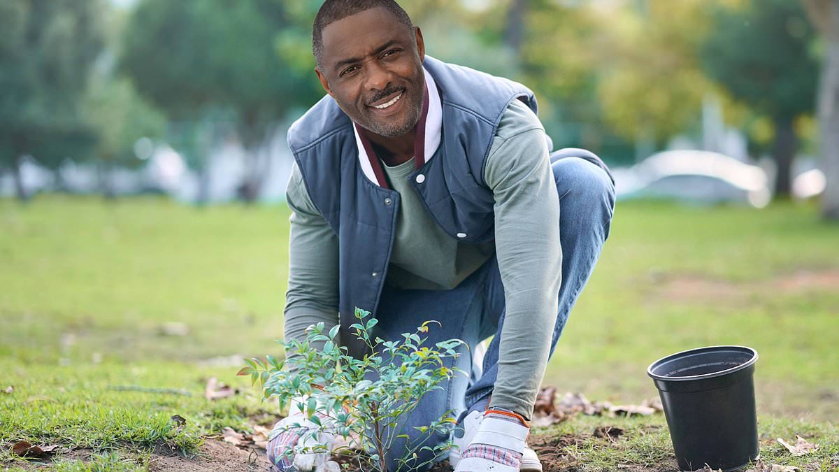 alert-–-from-luther-to-lilacs!-action-hero-and-actor-idris-elba-adds-gardening-firm-to-his-growing-business-ventures