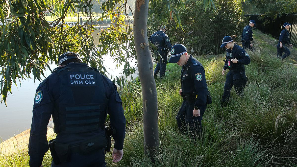 alert-–-cooks-river,-earlwood:-major-update-in-urgent-effort-to-identify-newborn-baby-delivered-along-a-sydney-riverbank