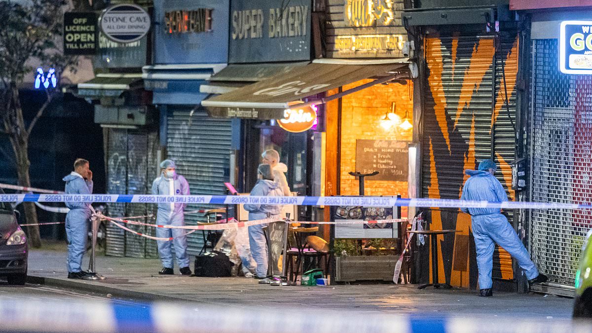 alert-–-horror-of-dalston-drive-by-shooting:-child-and-two-adults-among-four-shot-and-now-fighting-for-their-lives-were-‘same-family’