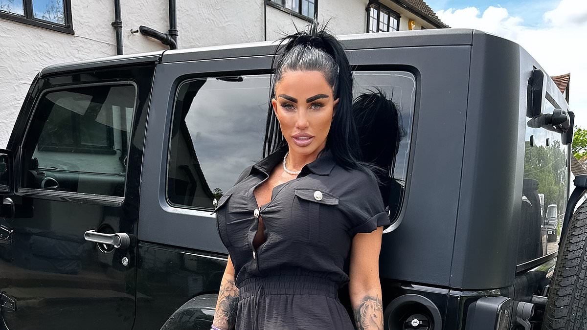 alert-–-katie-price-is-paying-an-eye-watering-monthly-amount-to-rent-her-new-four-bed-sussex-home-–-as-fans-question-how-she-is-affording-it-amid-her-double-bankruptcy-woes