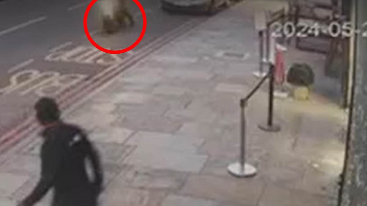 alert-–-cctv-captures-moment-hitman-on-stolen-motorbike-targets-three-men-outside-dalston-restaurant